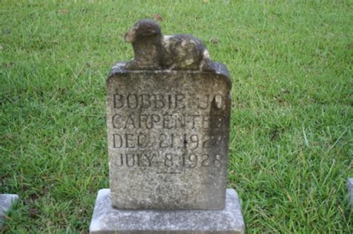 Bobbie Jo Carpenter: Unveiling the Extraordinary Life and Legacy