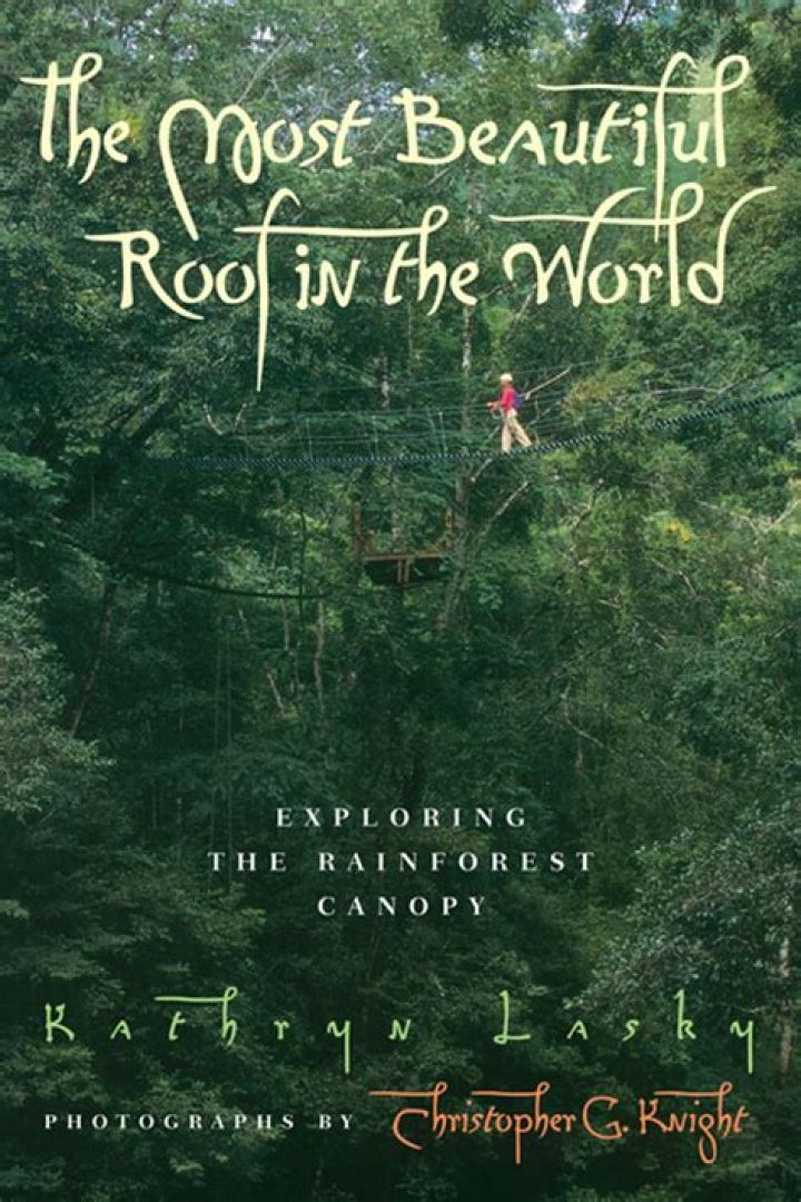 Captivating the World: Exploring the Rise of Kat Movie18