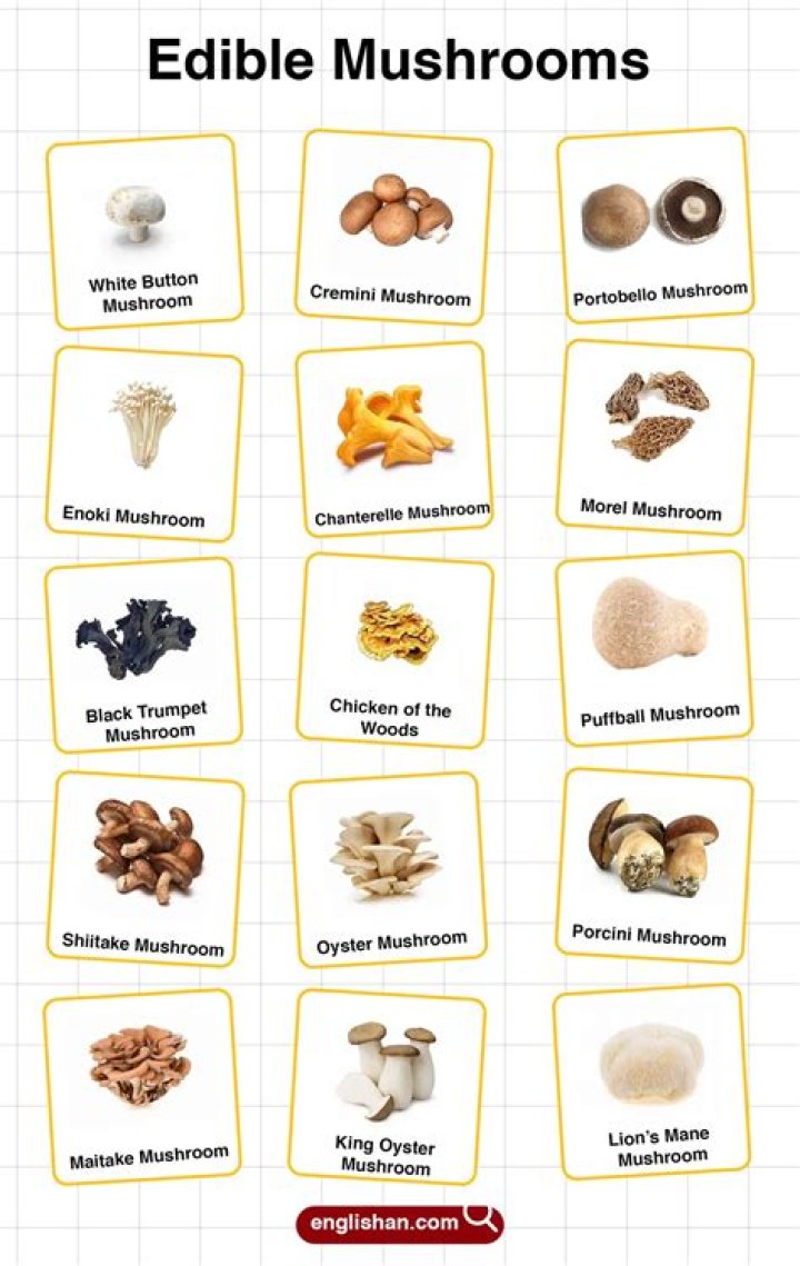 Mushroom Variety Crossword: A Comprehensive Guide to Solving and Understanding