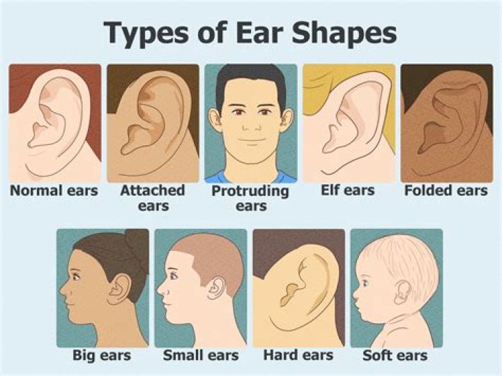 Naturally Pointed Ears: A Comprehensive Guide to Their Origins, Traits, and Cultural Significance