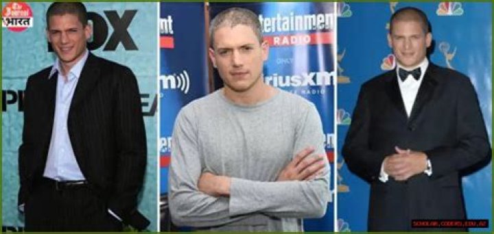 Unraveling the Mystery: Wentworth Miller's Personal Life and the "Wife 2025" Query